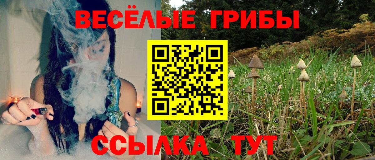Галлюциногенные грибы Cubensis  Вход с VPN  Канск 