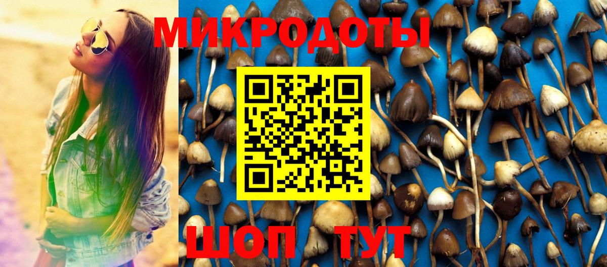 Галлюциногенные грибы Cubensis Канск